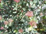 100_3945.jpg