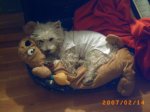 PICT0031_resize.JPG