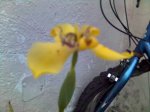 17-07-07_1336.jpg