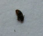 100_0038.jpg