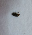 100_0039.jpg