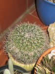 IMG_1597.JPG