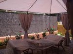 foro pergola 2.JPG