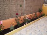 foro patio 1.JPG