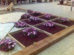 Foto (20).jpg