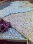 Foto (8).jpg