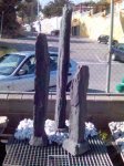 Foto (12).jpg