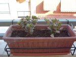 DSCF2057.JPG