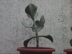 HPNX0168.JPG