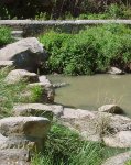 Río después.jpg