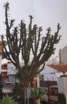 DSCN6372.jpg