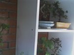02-08-06_1601.jpg