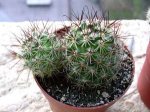 DSCN6388.jpg