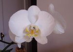 P7310158_Info_Jardin.jpg