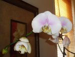 P7310152_Info_Jardin.jpg