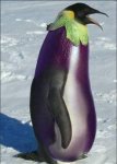 pinguberenjena.jpg