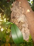 Dsc01770.jpg