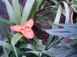 IMAG0024.JPG