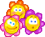 flores contentas.gif