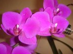 Dsc01815.jpg