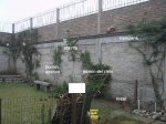 jardin2.JPG