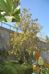 DSC_0524B_1.jpg
