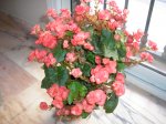 P1010010.JPG