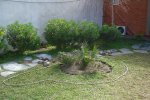 foto del cantero nuevo 1.jpg
