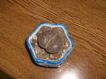 piedra2.JPG