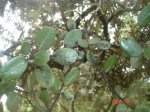 DSC00462.JPG
