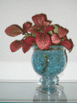 Hidroponico 001.gif