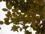 DSCN1218.JPG