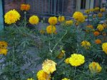DSCN1110.JPG