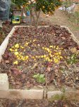 DSC00102.JPG