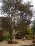 DSC00124.JPG