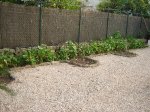 DSC00280.JPG