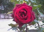 16-04-04_1848.jpg