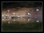 reflejos2.jpg