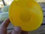 DSCF0107  1.JPG