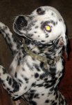 DSC00644.jpg