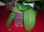 DSCN3407.JPG