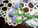 PICT0163.JPG
