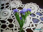 PICT0164.JPG