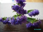 PICT0166.JPG