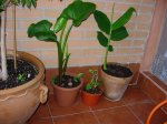 DSCN7321.jpg