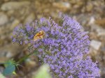 100_7813.jpg