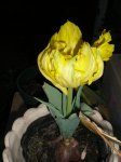 cumple8 016.jpg