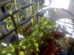 Imagen0143.jpg