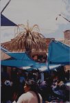 Palmera moribunda en Trinitarias..jpg