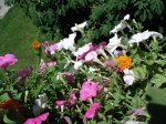 DSC00285_redimensionar.JPG